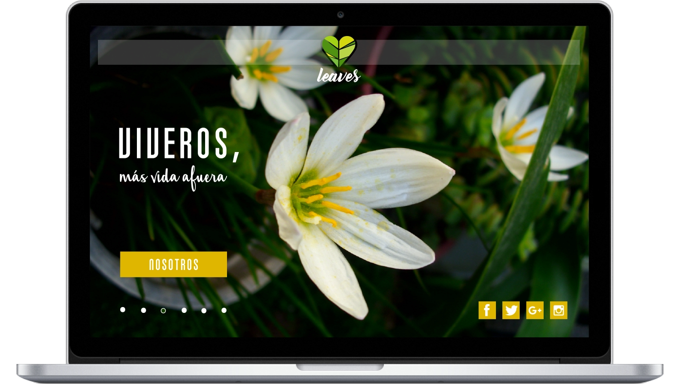 Paquete Básico - MiWebCrea