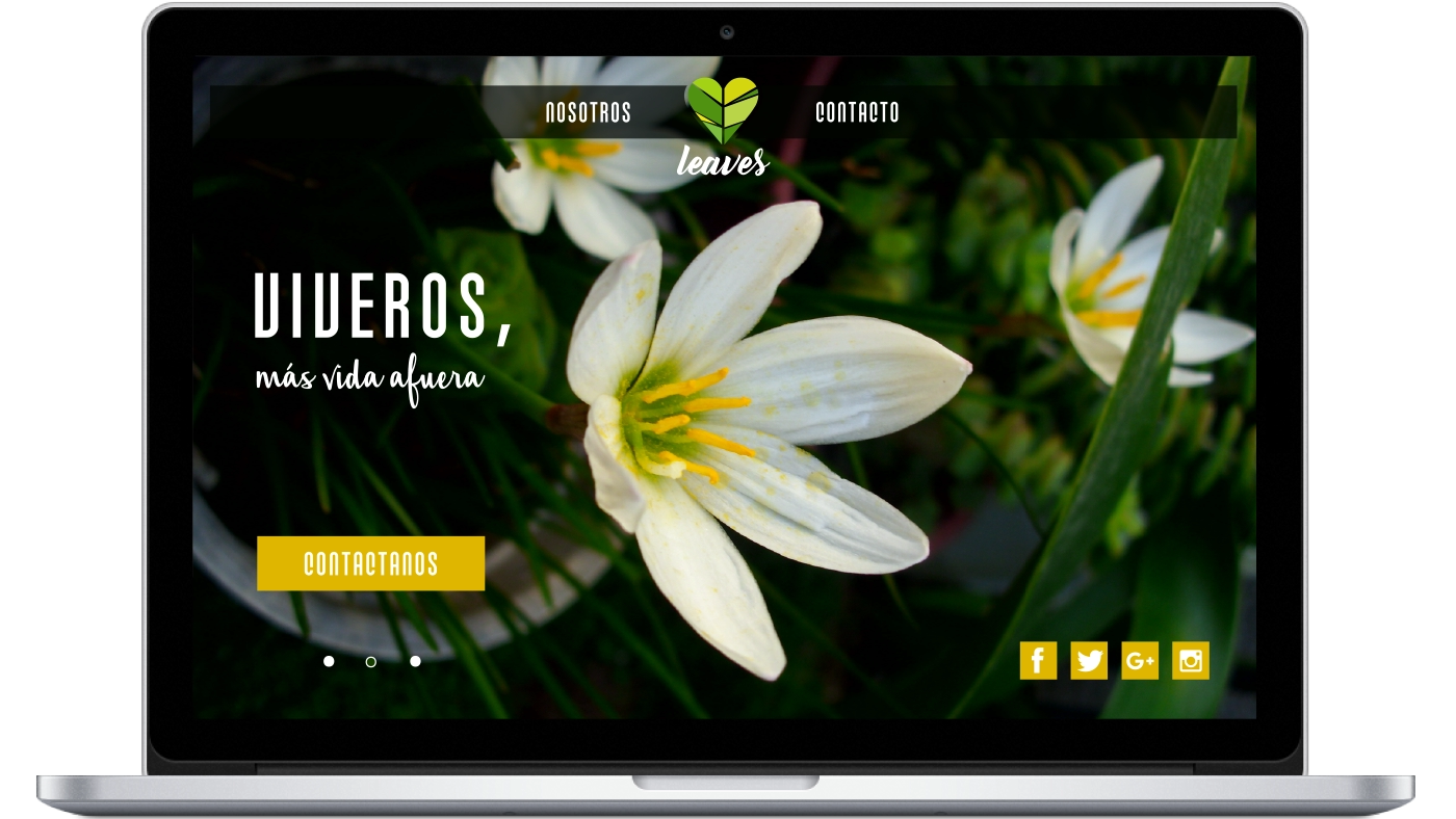 Paquete Básico - MiWebCrea